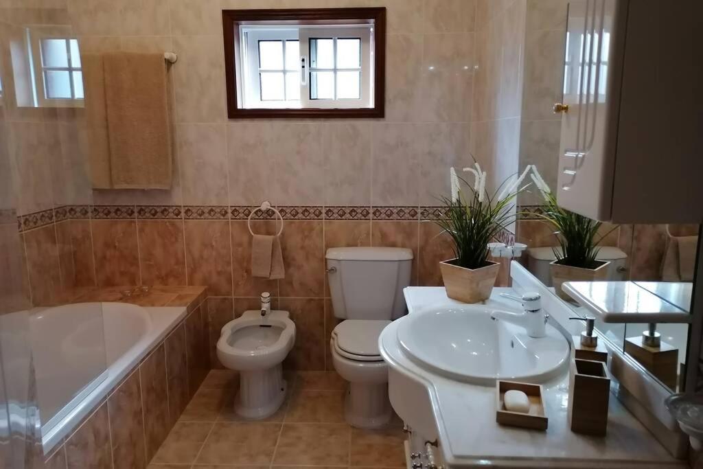 Refugio Do Seixoso Villa Celorico De Basto Eksteriør bilde